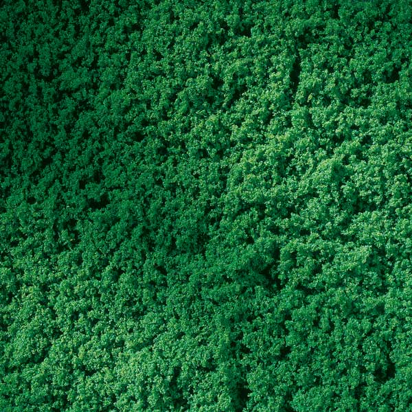 Lawn roll spring green<br /><a href='images/pictures/Auhagen/76670.jpg' target='_blank'>Full size image</a>